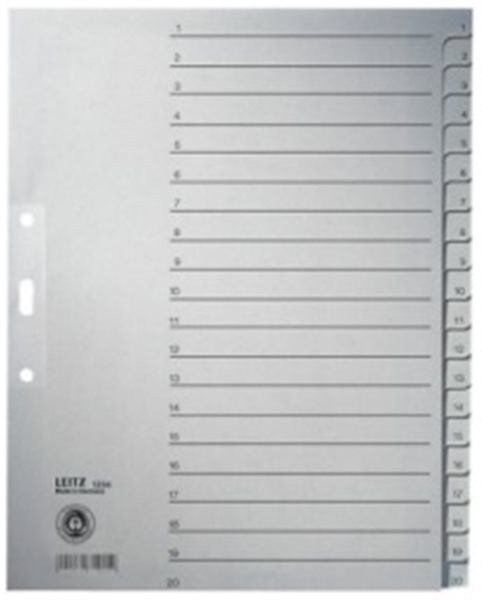 Register 1-20 A4 Tauenpapier Leitz 100g grau 240x300mm (1234-00-85)