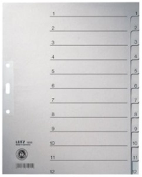 Register 1-12 A4 Tauenpapier Leitz 100g grau 240x300mm (1233-00-85)