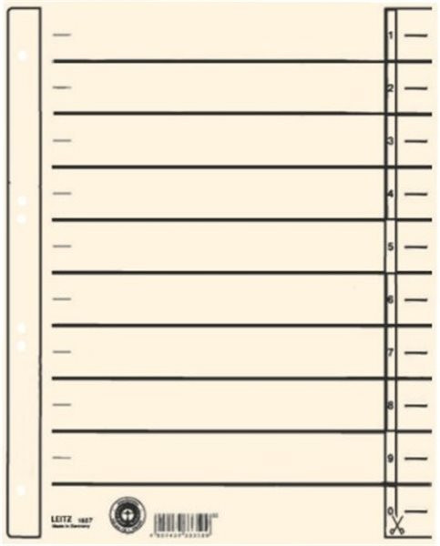 Trennblatt A4 chamois 200g Leitz 240 x 300mm Karton Lochung hinterklebt 