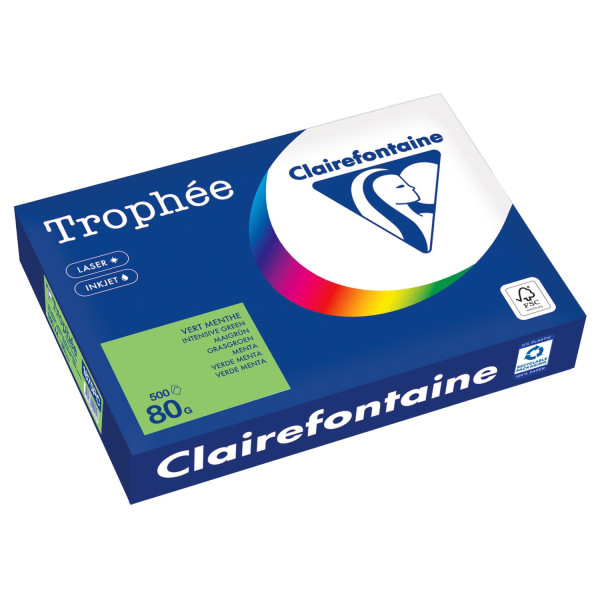 Clairefontaine Kopierpapier 1875PC A4 80g maigrün 500Bl 