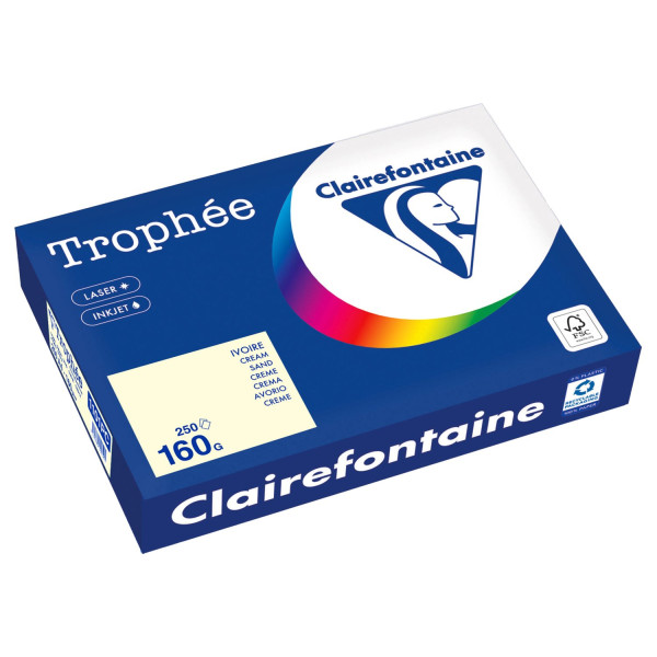 Clairefontaine Kopierpapier 1101PC A4 160g sand 250Bl 