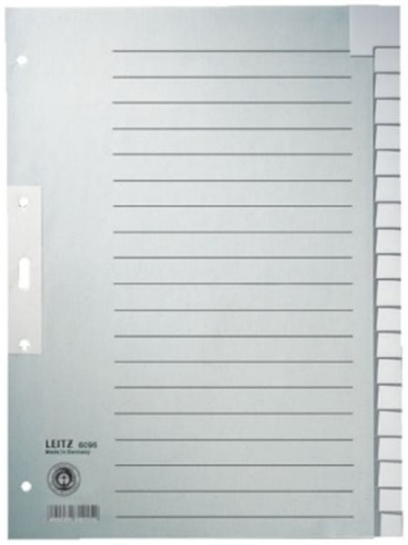Register blanko A4 20-teilig Tauenpapier Leitz 100g grau 223x300mm Tab verstärkt 